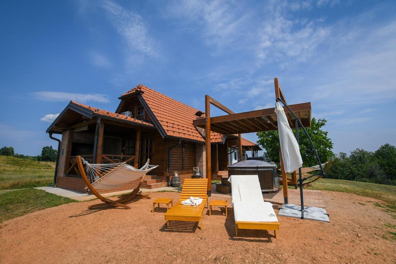 Brvnara Vila Promaja Kladovo Extérieur photo