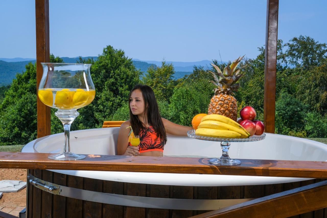 Brvnara Vila Promaja Kladovo Extérieur photo