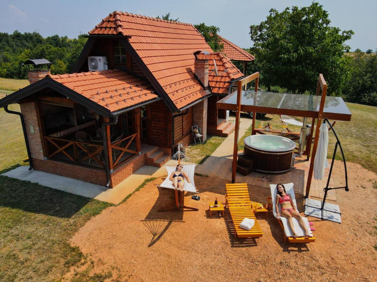 Brvnara Vila Promaja Kladovo Extérieur photo
